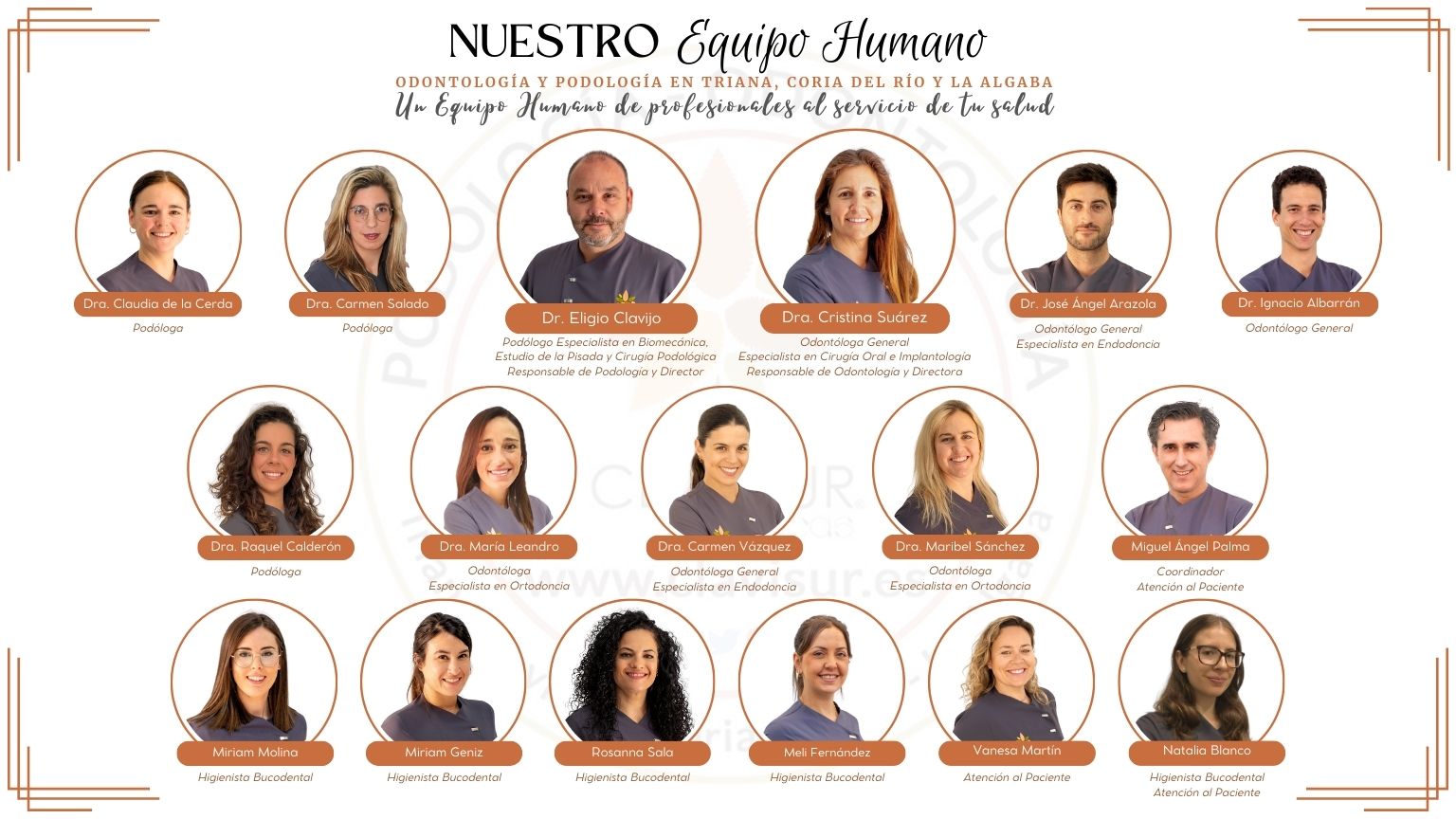 Todo el Equipo Humano de CLAVISUR clínicas